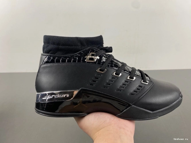 17   Silver Jordan Metallic 303891-004 Black 1129